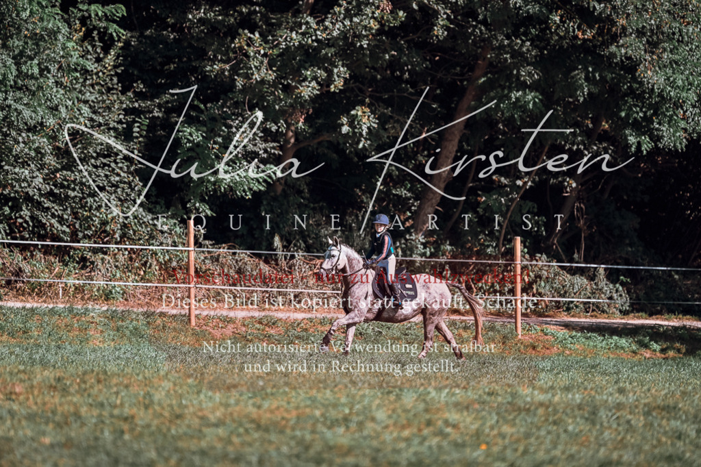 DSC_1163 | Pferde- und Turnierfotografie in Westsachsen. Pferdeportraits, Auftragszeichnungen und intuitive Kunst.