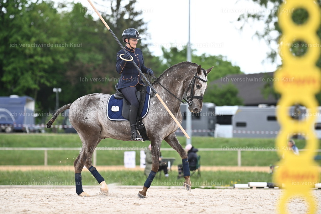 PI26_ST_Sara_Landvogt226_3287.JPG | working equitationturnier fotograf videograf stoibphotography marixx film working equitation deutschland reitsport turnierfotografie eventfotografie equestrian events