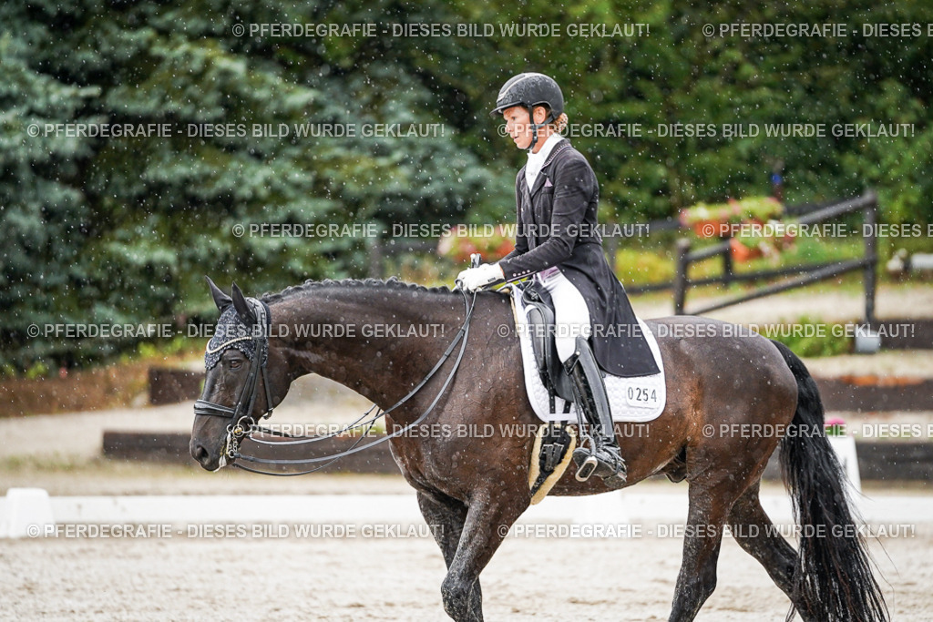 DSC08945 | Pferdegrafie