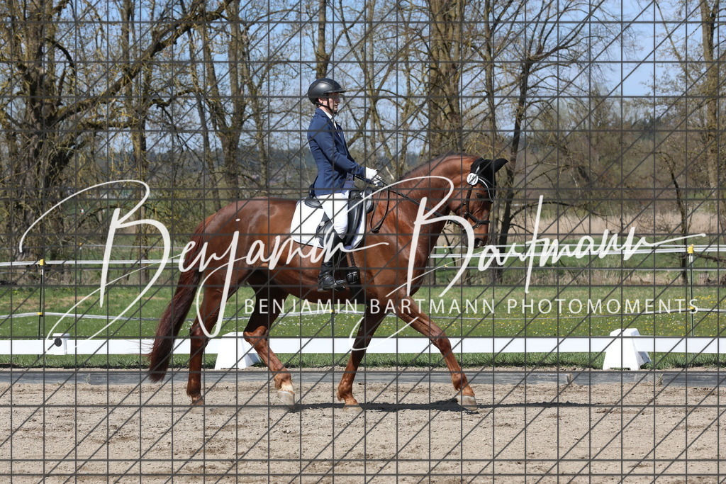 AZ2A5058 | Benjamin Bartmann Photomoments