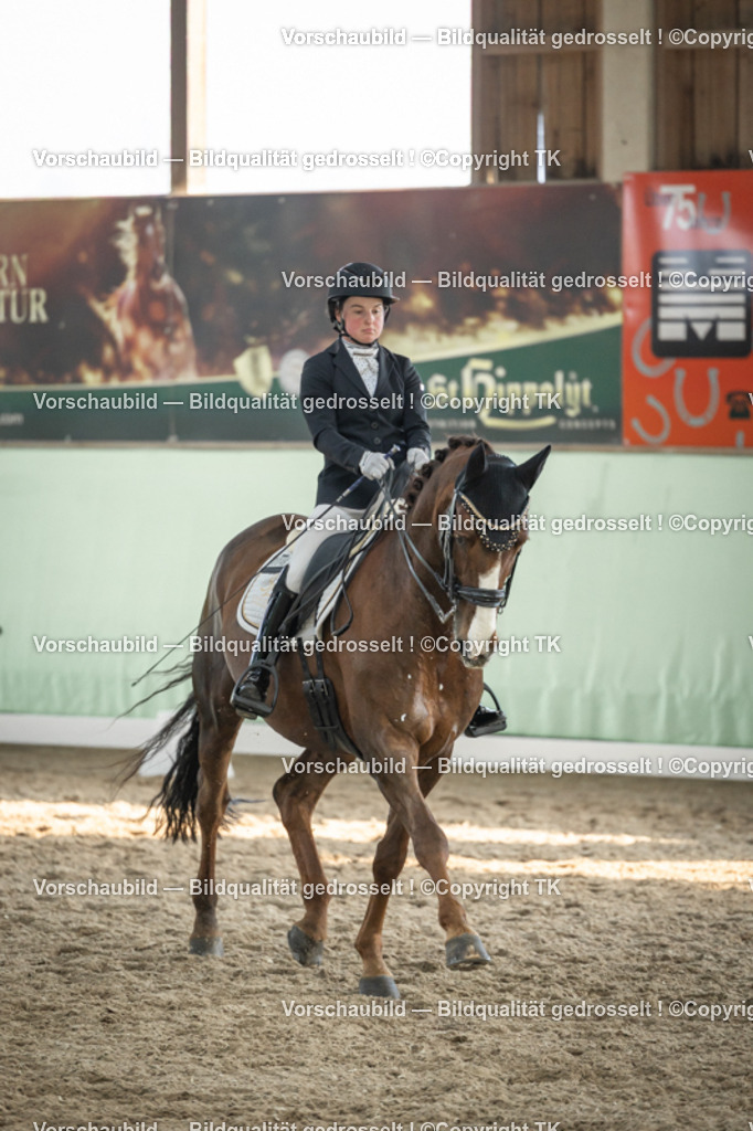 _D5A3119 | Emotionale Pferde- & People-Fotografie rund um Heidelberg, Leimen & Umgebung. Natürliche Fotos von Pferd, Mensch & Familie. Jetzt Termin sichern!