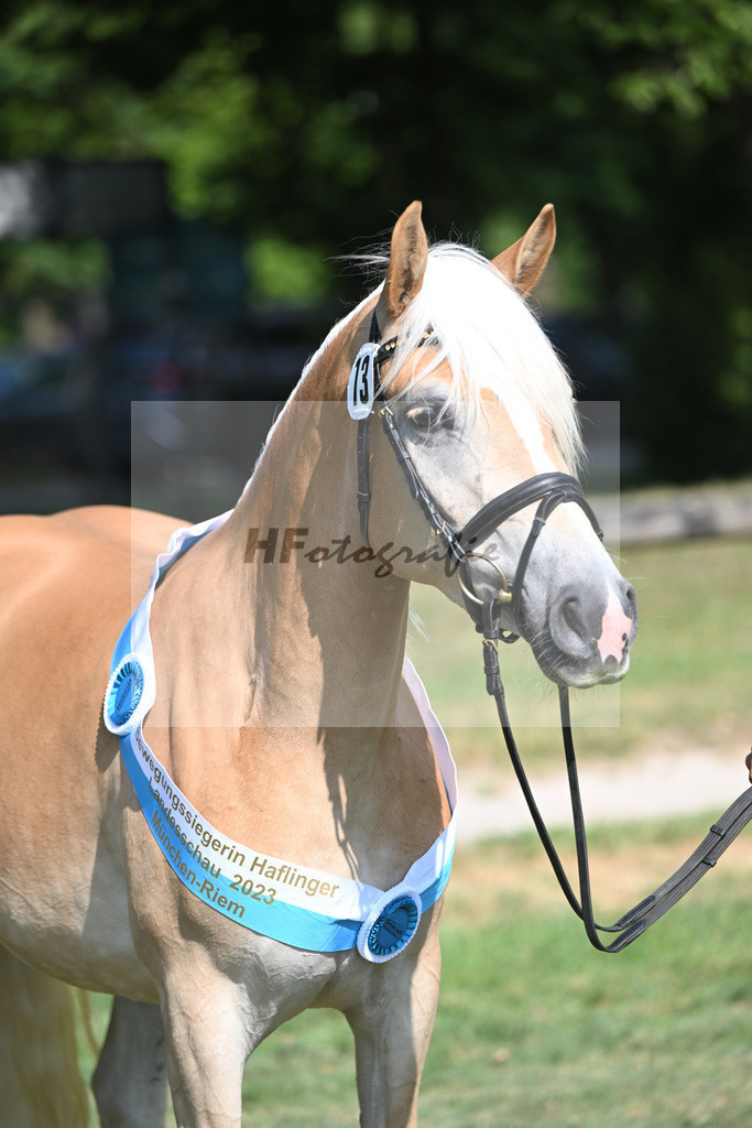 Kat-Nr. 13 Milana_Strauss_20231841 | hf-fotografie - Realisiert mit Pictrs.com