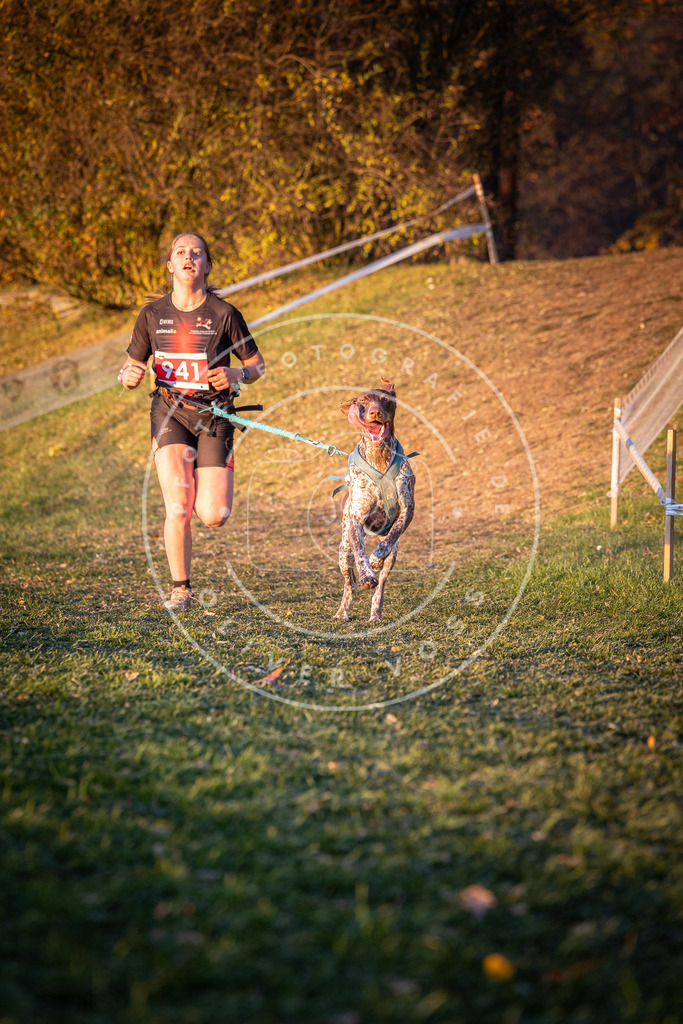 CaniXpix_0L8A1895 | Hundefotografie, Tierfotograf, Pfotenfotografie, Fotoshooting Hund, Hunde Portrait, Hundesport, Hundeportraits, Heideshooting, Hunde, Sportfotograf, Hundefotograf, Turnierhundsport, THS,  - Realisiert mit Pictrs.com