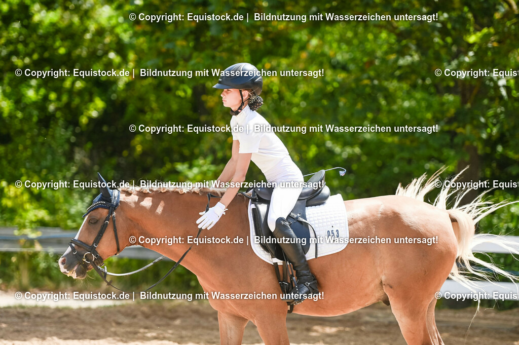 20230715_09_Dressur-WB_0295 | equistock