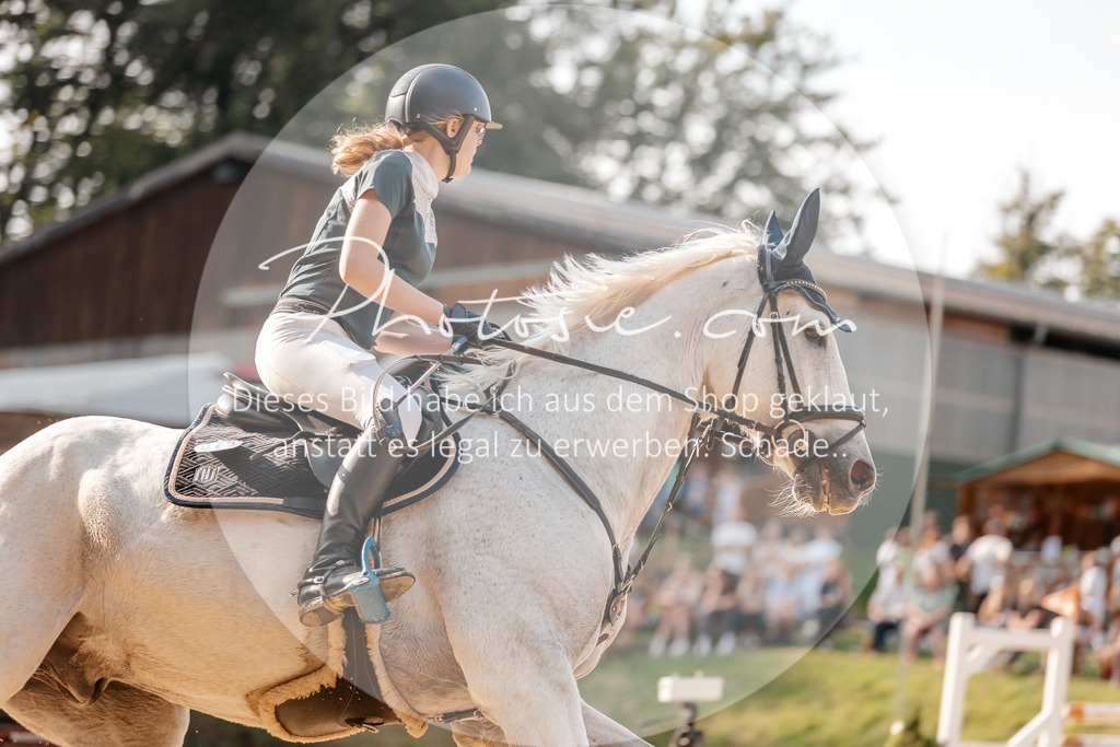 3I6A5040 | Stimmungsvolle Portraits und Reitsportfotografie im Ruhrgebiet und im Münsterland.

Pferdefotografie, Hundefotografie, Tierfotografie, Reportagen, Portraits von Tier und Mensch, Turnierfotografie in Bochum, Recklinghausen, Marl, Haltern am See, Dülmen.. - Realisiert mit Pictrs.com