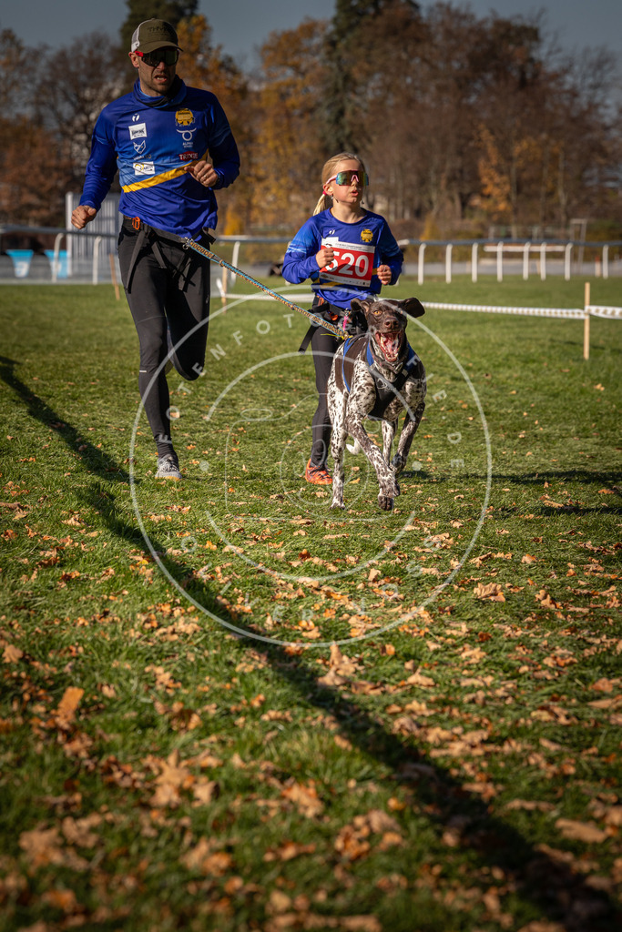 CaniXpix_0L8A7090 | Hundefotografie, Tierfotograf, Pfotenfotografie, Fotoshooting Hund, Hunde Portrait, Hundesport, Hundeportraits, Heideshooting, Hunde, Sportfotograf, Hundefotograf, Turnierhundsport, THS,  - Realisiert mit Pictrs.com
