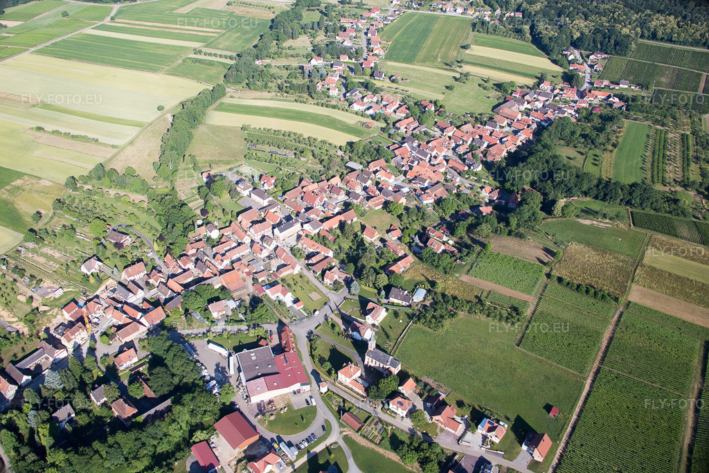 Vue aérienne: Vue du village à Cleebourg dans le département Bas Rhin, France. Photo: IMG_082989.jpg prise le 26/06/2015 par Werner Riehm/FLY-FOTO.eu – Résolution de l'original: 5336 x 3557 px