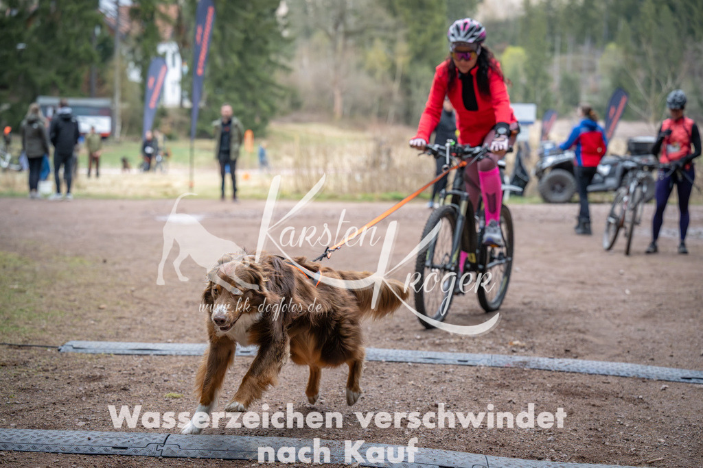 0935_ZZ91645 | kk-dogfotos