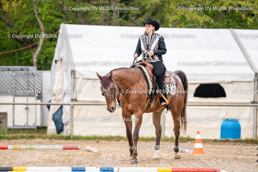 Heiligenwald Tag 1-199 | dv-media-shop - Realisiert mit Pictrs.com