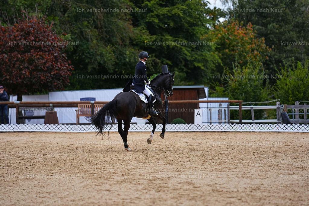 8_1-212-Klasse S_  -Marixx-4274 | working equitationturnier fotograf videograf stoibphotography marixx film working equitation deutschland reitsport turnierfotografie eventfotografie equestrian events