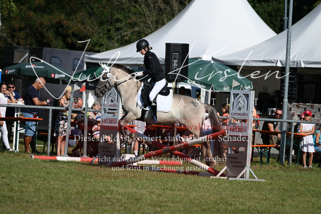 DSC_5251 | Pferde- und Turnierfotografie in Westsachsen. Pferdeportraits, Auftragszeichnungen und intuitive Kunst.