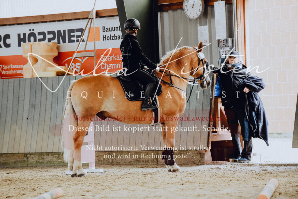 DSC_6815 | Pferde- und Turnierfotografie in Westsachsen. Pferdeportraits, Auftragszeichnungen und intuitive Kunst.