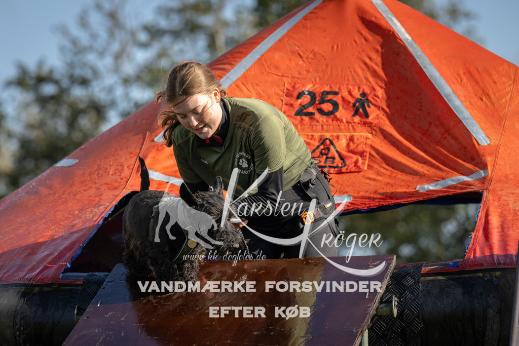 1435-94545 | kk-dogfotos