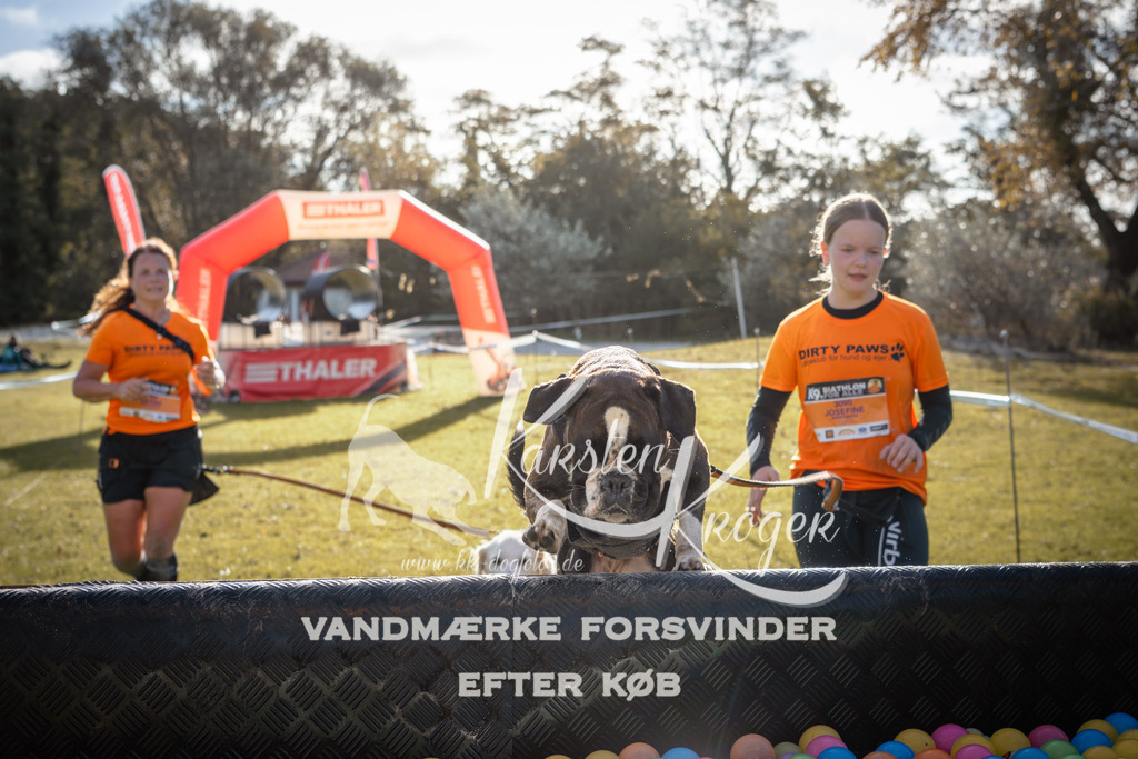 1008_ZZ99869 | kk-dogfotos