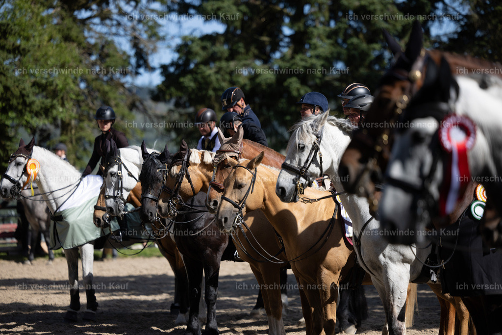 Siegerehrung_stoibphotography_C2_C9864.CR3 | working equitationturnier fotograf videograf stoibphotography marixx film working equitation deutschland reitsport turnierfotografie eventfotografie equestrian events