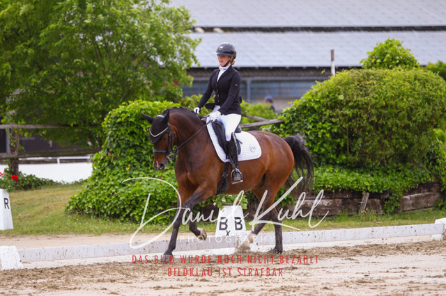 DKP40114 | Turniersportfotografie; Pferdefotografie; Dressurfotografie