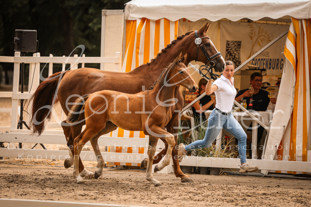 SaPA00187 | Leoni Ertmer Photography - Realisiert mit Pictrs.com