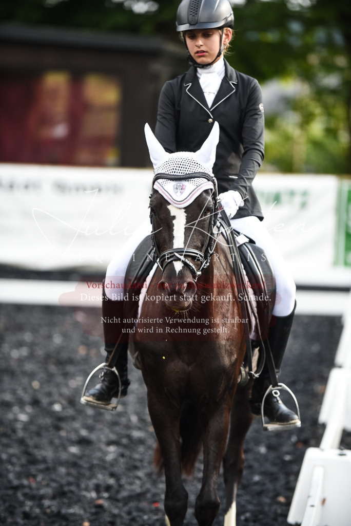 DSC_3398 | Pferde- und Turnierfotografie in Westsachsen. Pferdeportraits, Auftragszeichnungen und intuitive Kunst.