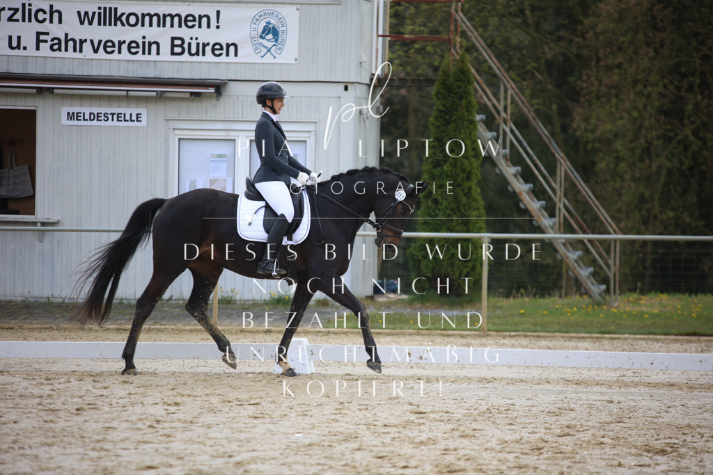 IMGT2814 | pl-fotografie