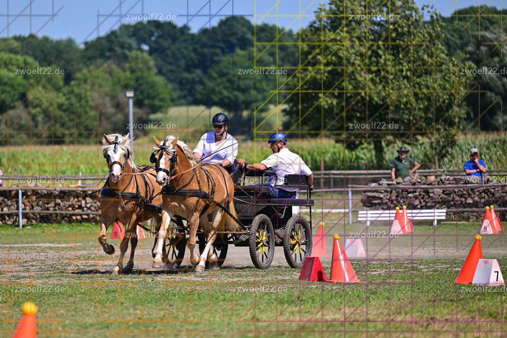 30 Jahre RFV Pulsnitz e.V., Pulsnitz am 09.08.2026 | Zur 28. breitensportlichen Veranstaltung des RFV Pulsnitz e.V. fanden verschiedene Wettbewerbe in nahezu allen Disziplinen des Pferdesport statt. - 18 Kegel-Fahr-Wettbewerb - Realisiert mit Pictrs.com