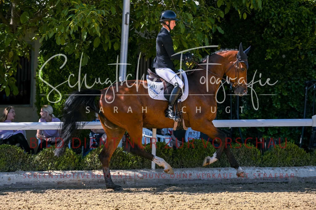 Schugtsche-Aluta25-50.Dressurpferdeprf.L-149 | Schugtsche Fotografie - Realisiert mit Pictrs.com