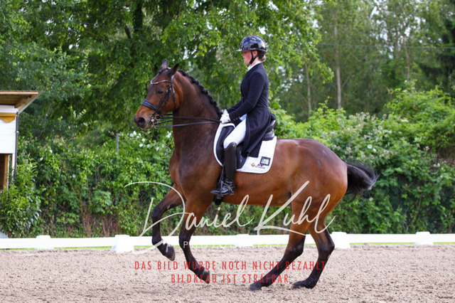 DKP41713 | Turnierfotos kaufen im Webshop von Daniel Kuhl Photography – entdecke professionelle Reitsportfotos aus Turnieren & Events. Hochwertige Turnierbilder online bestellen & sichern. Jetzt Fotos von Reitsportturnieren kaufen!