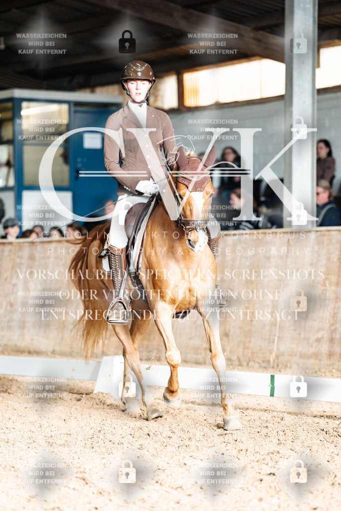 CK902943 | Turnierfotografie Pferdefotografie Trier Rheinland-Pfalz Pferdesport Reitsport Tierfotografie Sportfotografie Pferdevideo Pferdevideografie Equestrianvideography equestrianphotography  - Realisiert mit Pictrs.com