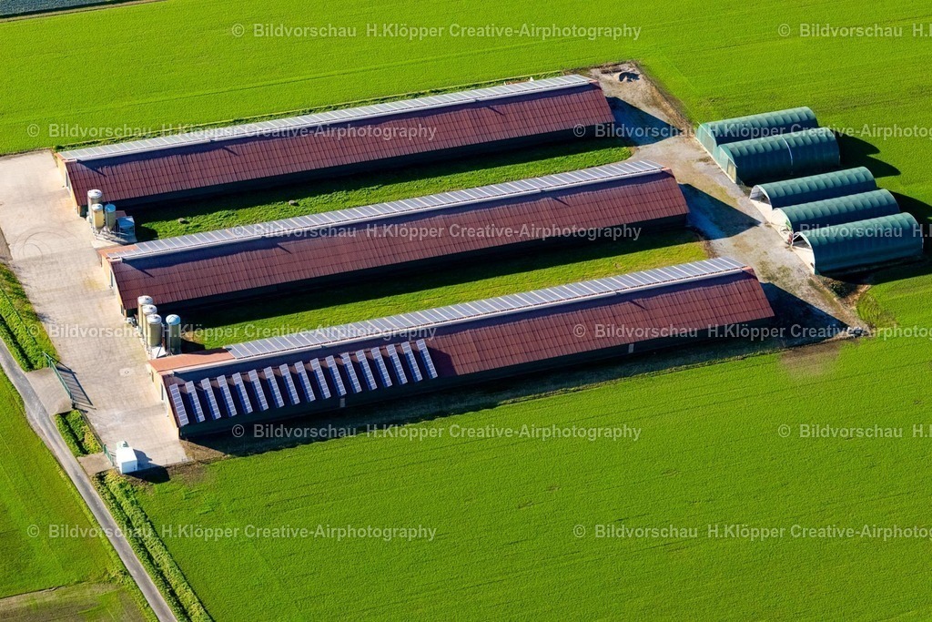 Luftbilder Straelen-7548 |  Luftbild  Tierzucht- Stallanlagen zur Geflügelzucht in Straelen im Bundesland Nordrhein-Westfalen, Deutschland - Realisiert mit Pictrs.com
