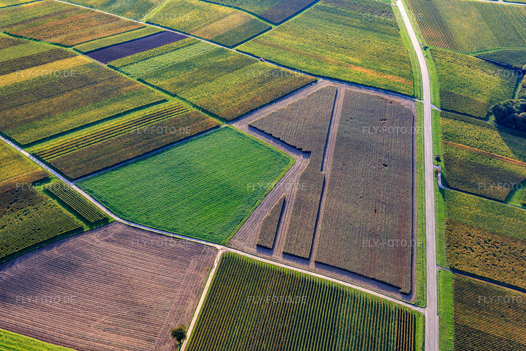 Luftbild: Polygonales Muster von teilgeernteten Feldern und Weinbergen im Herbst- im Ortsteil Ingenheim in Billigheim-Ingenheim im Bundesland Rheinland-Pfalz in Deutschland. Foto: IMG_074627.jpg vom 14.10.2014 durch Werner Riehm/FLY-FOTO.de