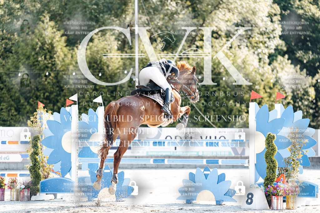CK901781 | Turnierfotografie Pferdefotografie Trier Rheinland-Pfalz Pferdesport Reitsport Tierfotografie Sportfotografie Pferdevideo Pferdevideografie Equestrianvideography equestrianphotography  - Realisiert mit Pictrs.com