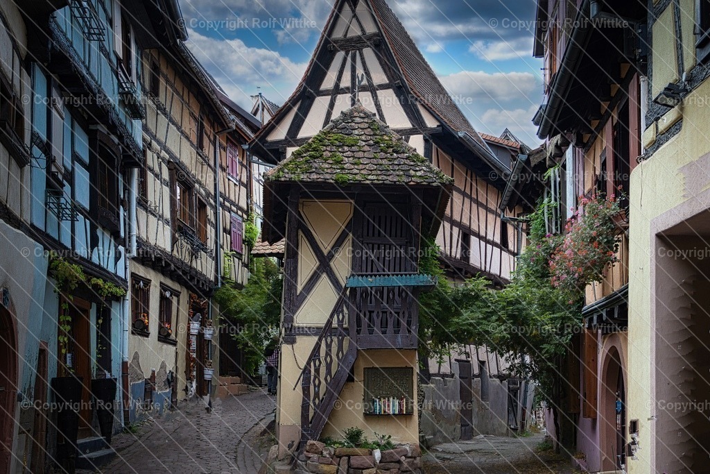 1D3A0835_upscale 2 | Rolf Wittke  - Realisiert mit Pictrs.com