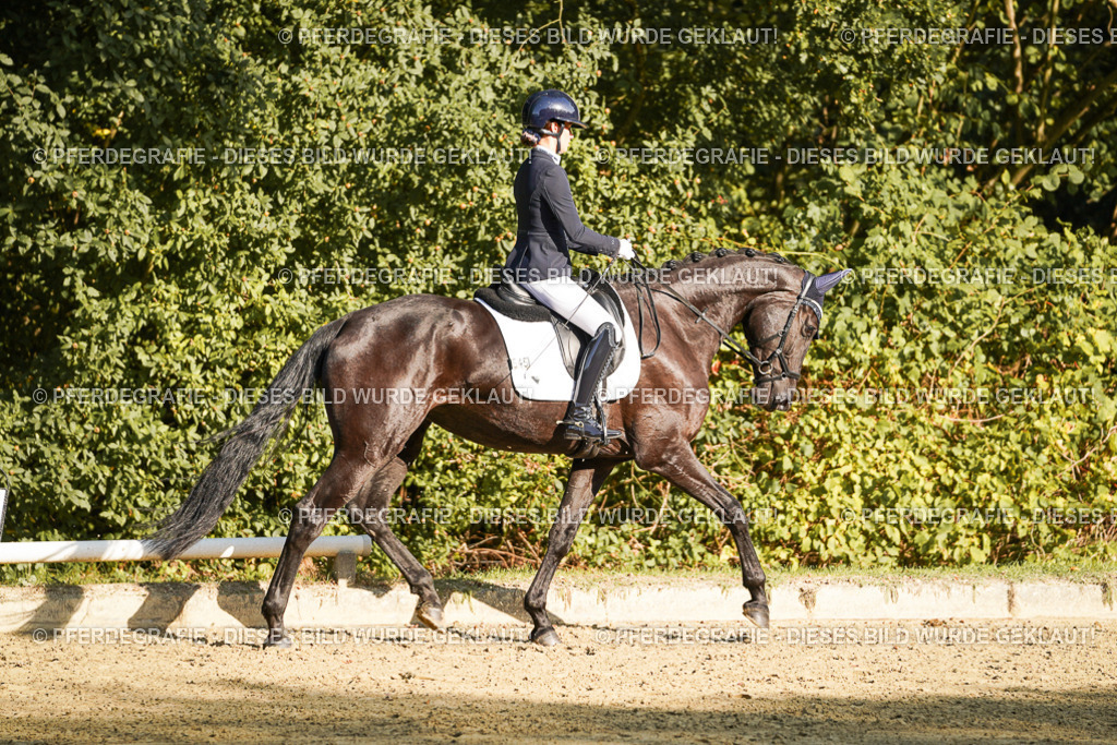 DSC06090 | Pferdegrafie