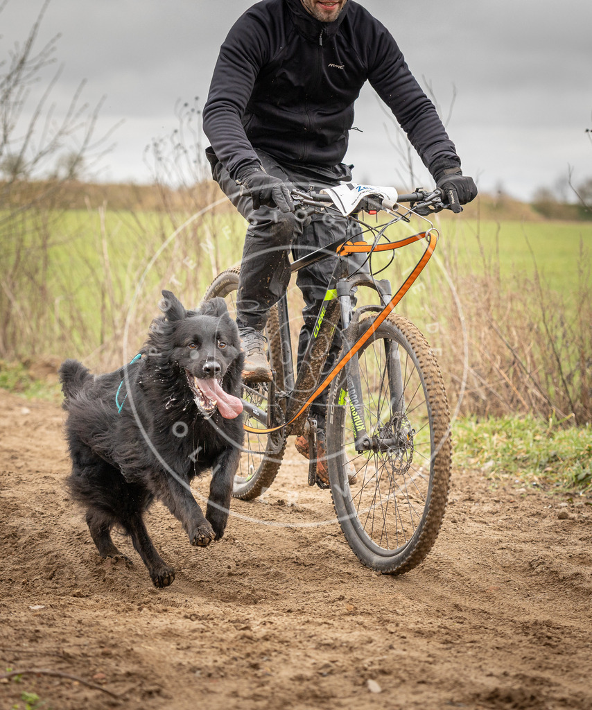 DV3A0966 | Hundefotografie, Tierfotograf, Pfotenfotografie, Fotoshooting Hund, Hunde Portrait, Hundesport, Hundeportraits, Heideshooting, Hunde, Sportfotograf, Hundefotograf, Turnierhundsport, THS,  - Realisiert mit Pictrs.com