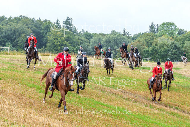 Jagd Kletkamp 26-02879_MarinaHewig | Fotografie, FotoArt, PferdesportArt, Pferdesportfotografie, Landschaftsfotografie, Reisefotografie, Reise, Pferde - Realisiert mit Pictrs.com