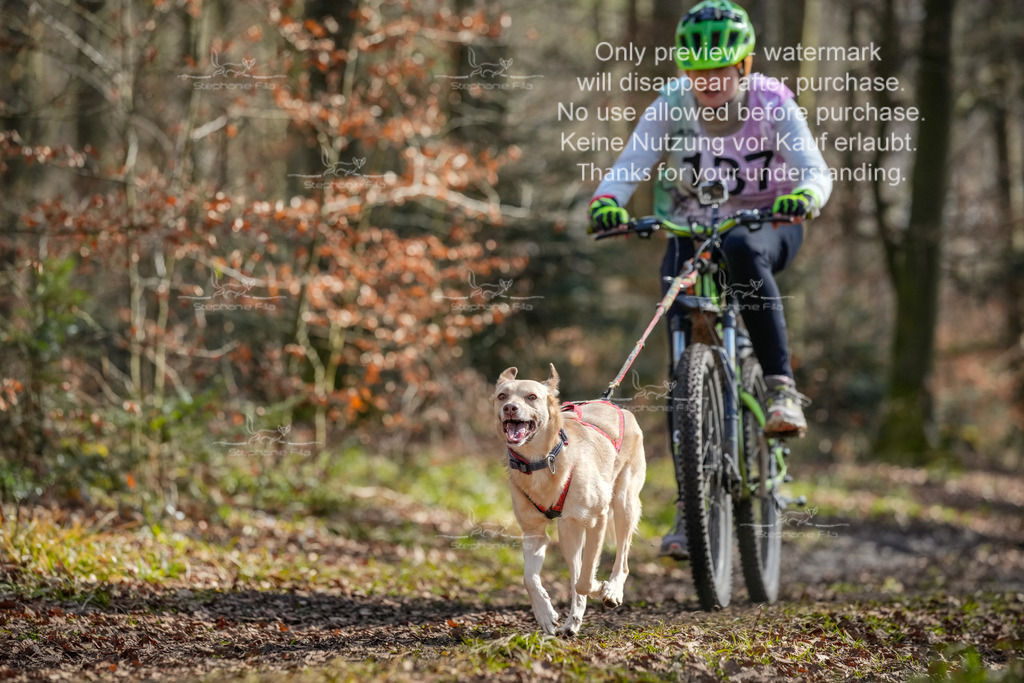So3_Bike_2-13 | stephaniefillaphotographie - Realisiert mit Pictrs.com