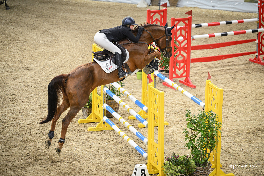 301025-11-021 | Foto Mhisen Pferdefotografie#, Reitturnier Frankfurt#  #Dressur und Springen
#Profi Pferdefotograf Reitturnier Fotograf 
#Sport Horses Photographer 
#equestrain photographer - Realisiert mit Pictrs.com