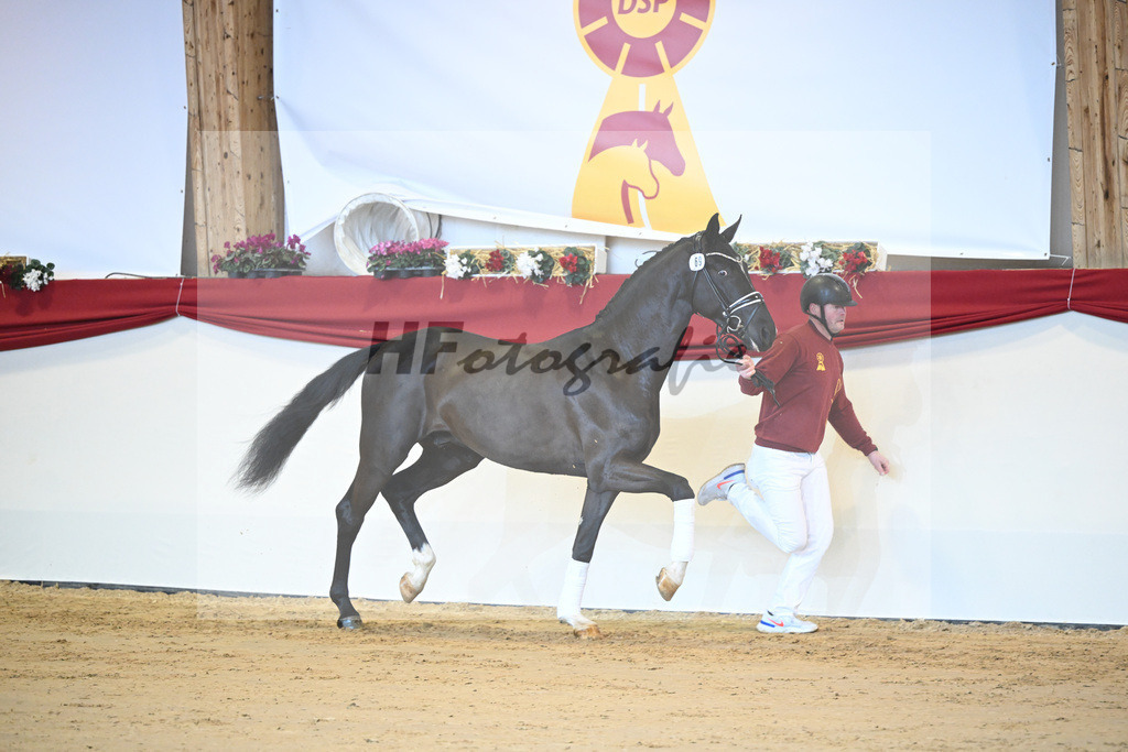 Kat-Nr. 69 Sezuan_Klausing GbR_1231373 | hf-fotografie - Realisiert mit Pictrs.com