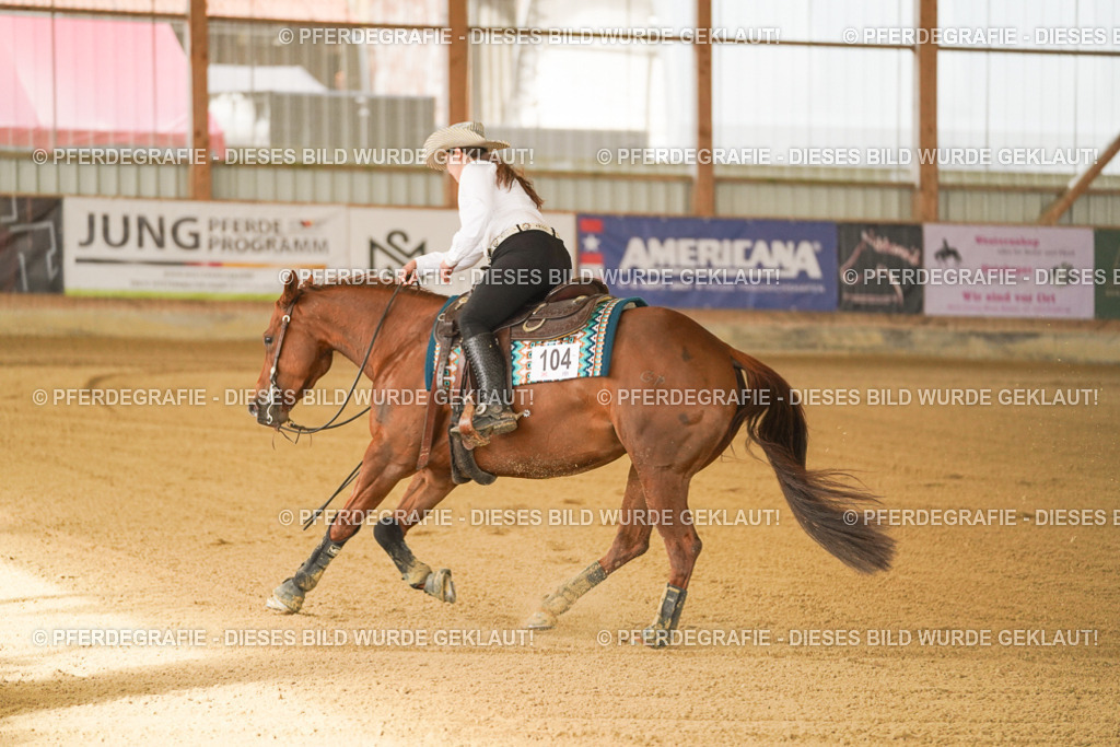 DSC00328 | Pferdegrafie