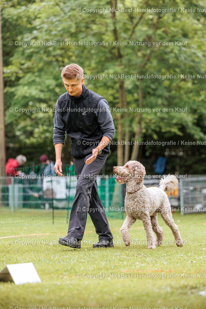 RO-Blumenthal-2026-Nickbest-Hundefotografie-4228 | Dein Hund! Dein Moment! Deine Erinnerungen! Hundefotografie in Bremen Blumenthal. Ich fange die besonderen Momente deines Vierbeiners ein – ob Indoor mit Blitzanlage oder in der freien Natur. Sicher dir dein Moment und dein Termin für eure Erinnerungen.