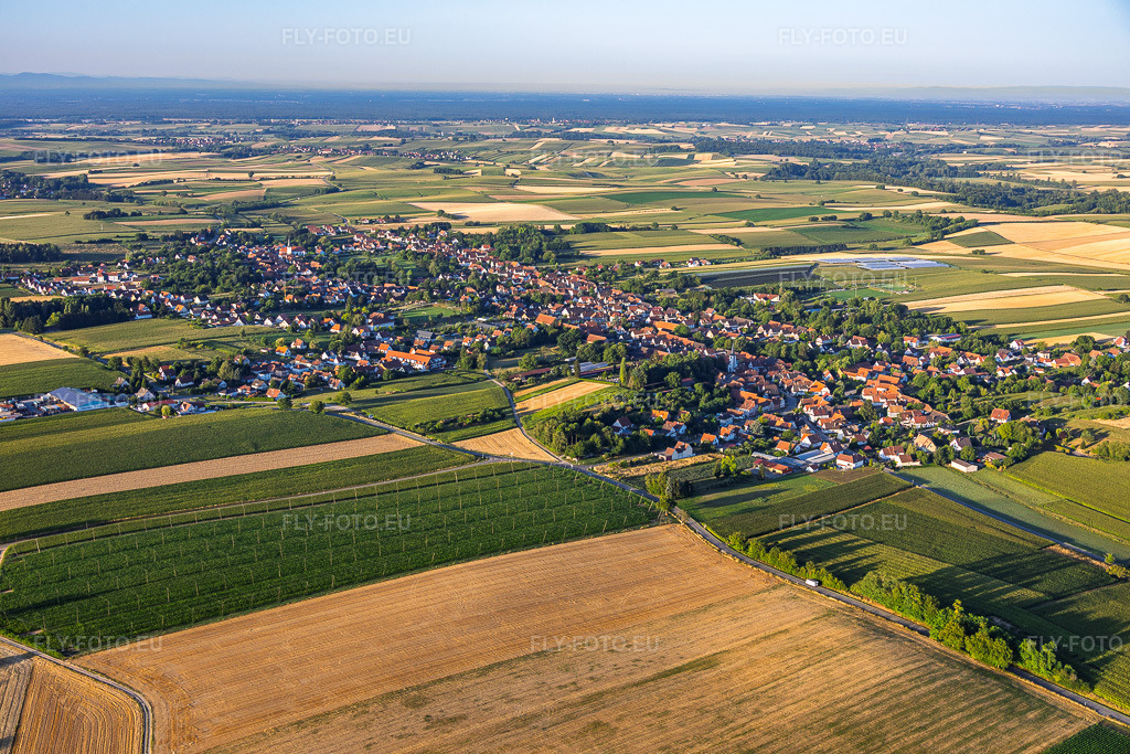 Vue aérienne: Vue de la ville depuis le nord-est à Seebach dans le département Bas Rhin, France – .Photo: IMG_158204.jpg prise le 25/07/2026 par Werner Riehm/FLY-FOTO.eu – Résolution de l'original: 6000 x 4000 px