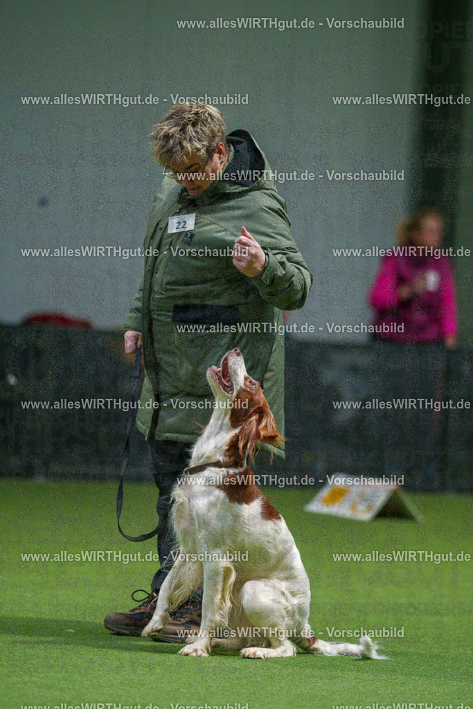 7R504805 | Professionelle Tierfotografie in Mönchengladbach von Daniel Wirth (allesWIRTHgut). Liebevolle & natürliche Bilder von Hunden & Katzen für unvergessliche Erinnerungen.