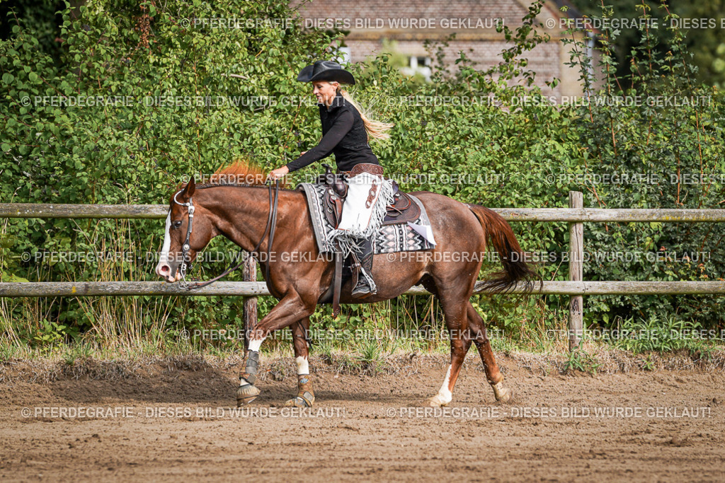 DSC09746 | Pferdegrafie