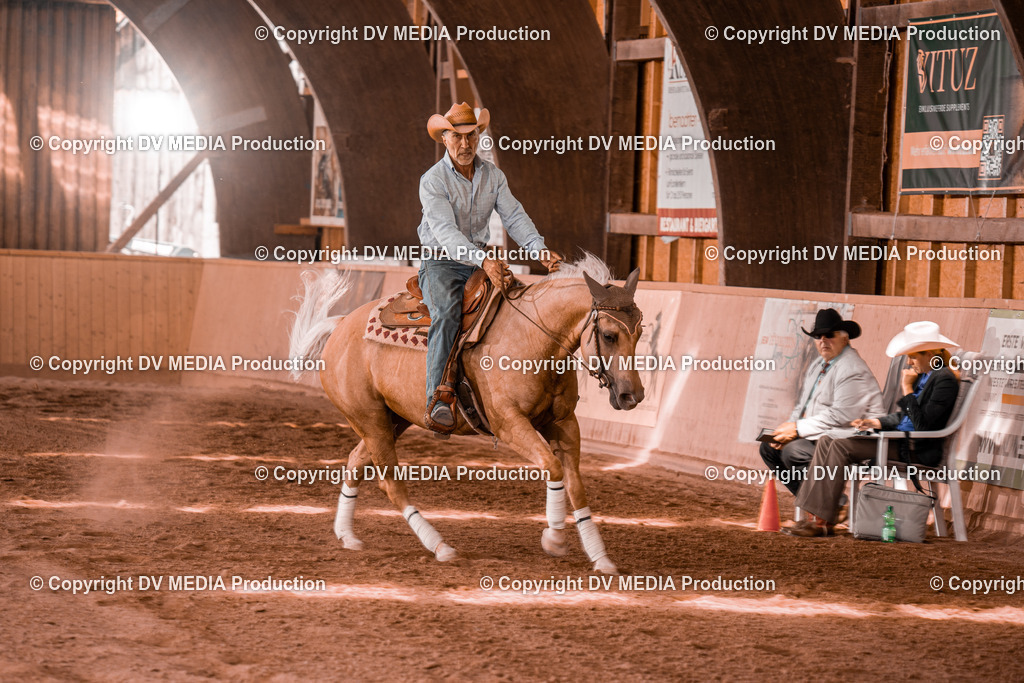 NE300726 | dv-media-shop - Realisiert mit Pictrs.com