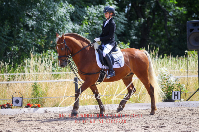 DKP46147 | Turniersportfotografie; Pferdefotografie; Dressurfotografie