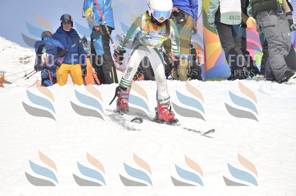 _ELE9614 | holidayphoto