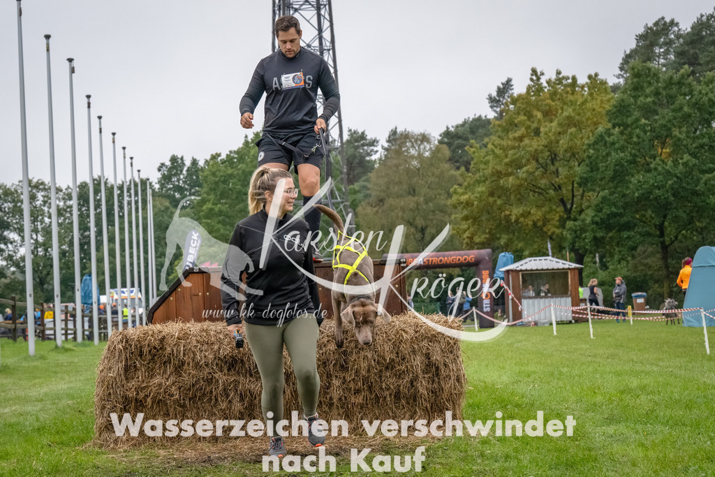 1212--26 | kk-dogfotos