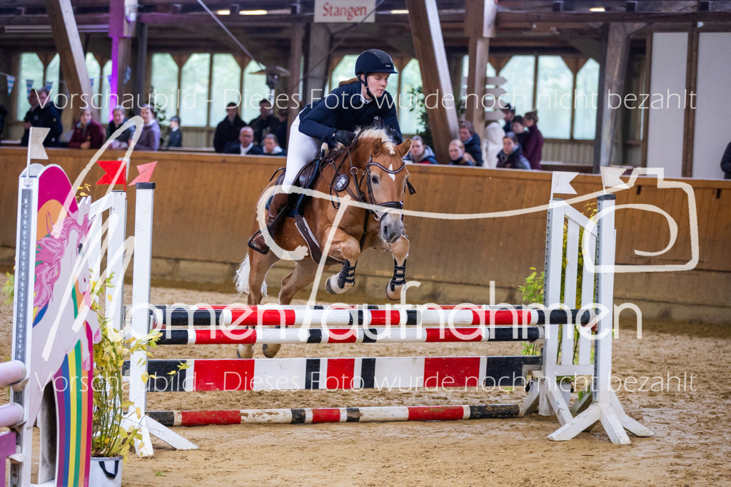 Sth-A-Springen-141 | MomenTaufnahmen Pferdesportfotos