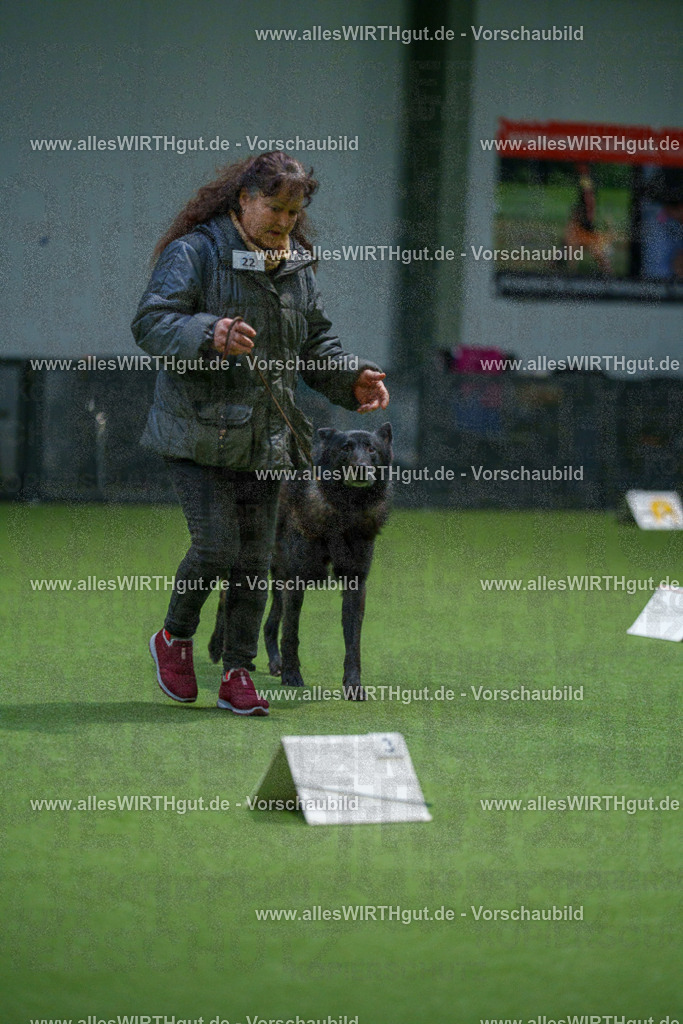 7R500039 | Professionelle Tierfotografie in Mönchengladbach von Daniel Wirth (allesWIRTHgut). Liebevolle & natürliche Bilder von Hunden & Katzen für unvergessliche Erinnerungen.