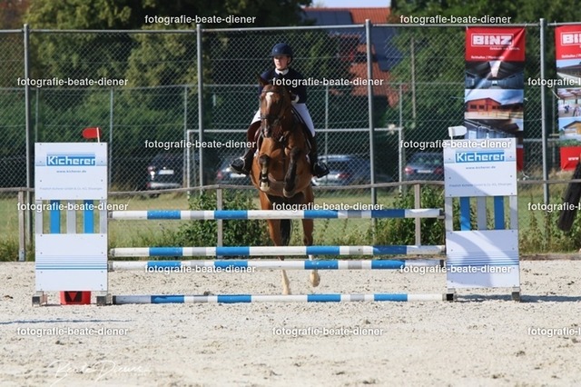 OHT 2022 Röhlingen (102) | Fotografie, Tiere, Hunde, Katzen, Pferde, Sportfotografie, Fotosession, Tierfotografie, Turnierfotografie, Fotografin, Fotograf - Realisiert mit Pictrs.com