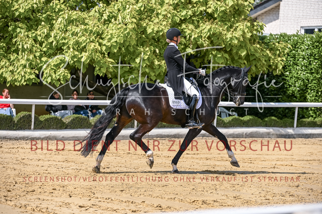 Schugtsche-Aluta25-58. Dressurprf.S1Kand.St.GeorgSpecial-161 | Schugtsche Fotografie - Realisiert mit Pictrs.com